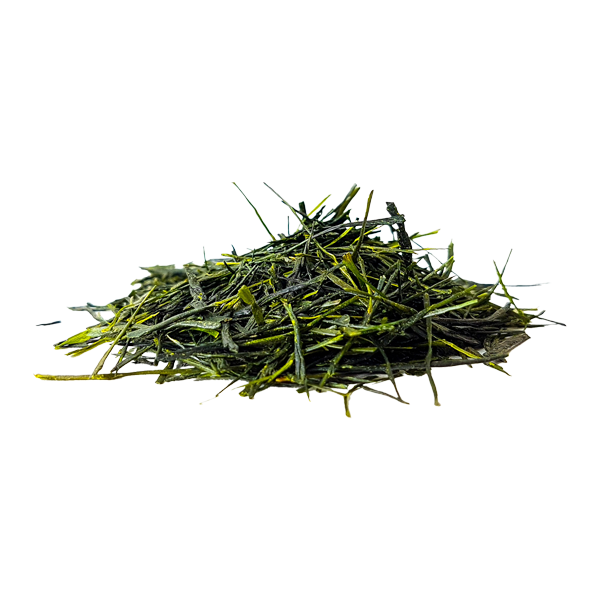 Kagoshima Sencha Yabukita Green Tea